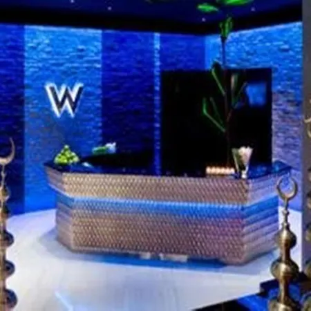 酒店 W (adults Only) 5*